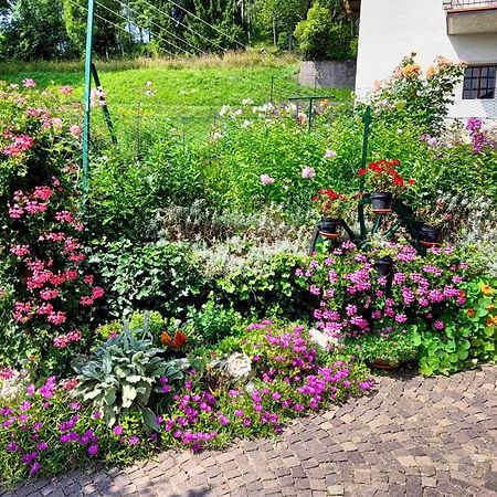La Cesura Bed and Breakfast Carano  Buitenkant foto