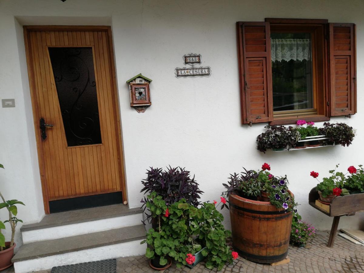 La Cesura Bed and Breakfast Carano  Buitenkant foto