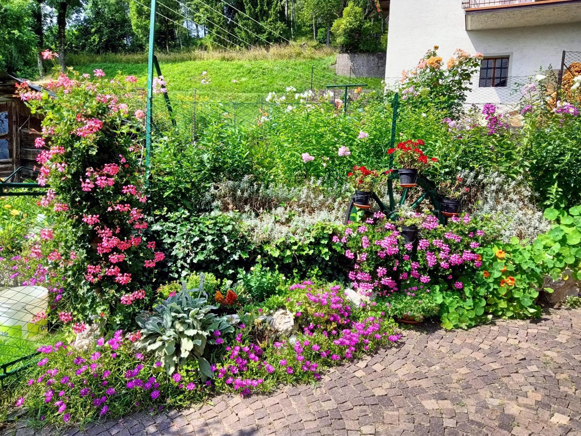 La Cesura Bed and Breakfast Carano  Buitenkant foto